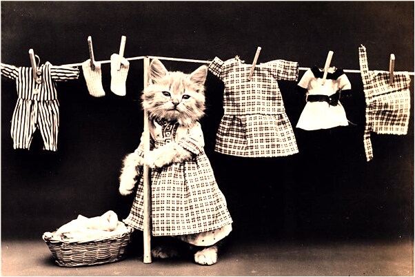 夢到三個人睡覺是咋回事_周公解夢官網