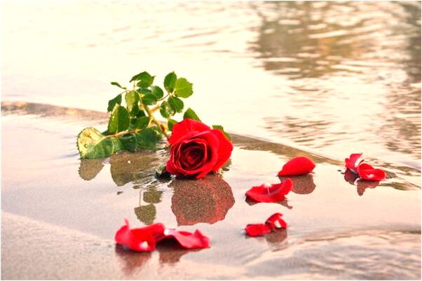 夢到了做旗袍會是什麼預兆_周公解夢官網