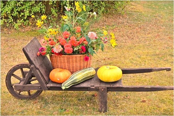 夢見跟老公一起游泳是什麼徵兆_周公解夢官網