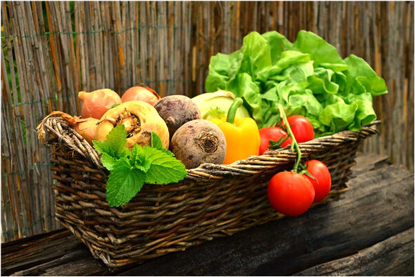 夢到了好多的排骨怎么說_周公解夢官網