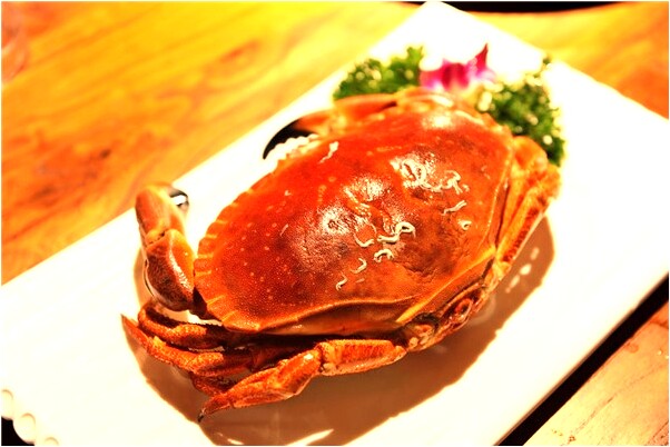 夢到了倆條蛇盤在樹上是不是好的徵兆呢_周公解夢官網