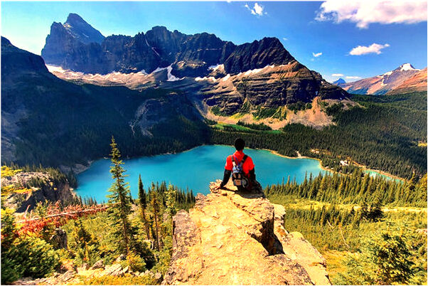 夢見總是把腸子都拉出來了怎么說_周公解夢官網