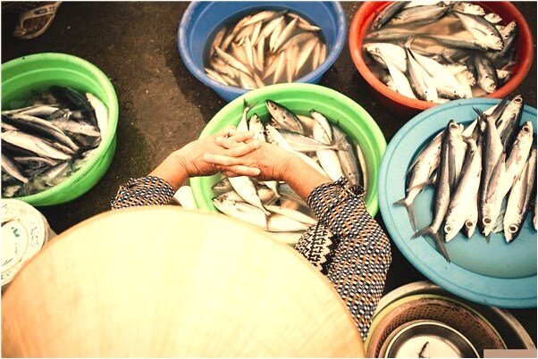 夢見毛毛蟲蛻皮代表著什麼？_周公解夢官網