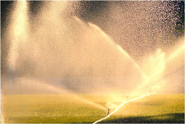 夢見妹妹掉水中代表著什麼？_周公解夢官網