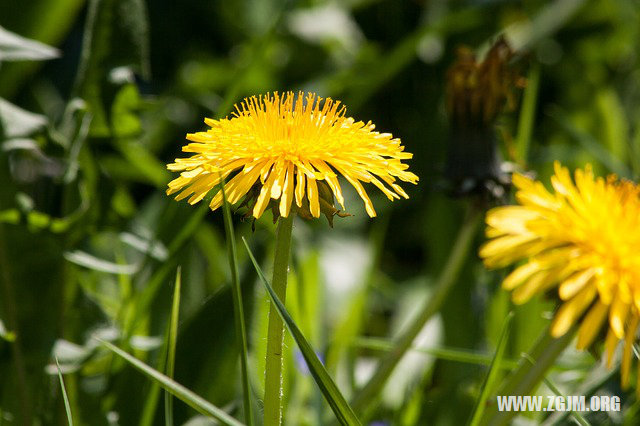 夢見女人月經_周公解夢夢到女人月經是什麼意思_做夢夢見女人月經好不好_周公解夢官網
