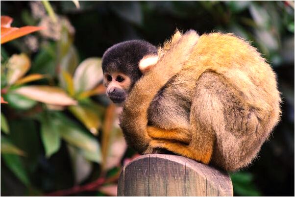 夢到洗澡衣服被盜是咋回事_周公解夢官網