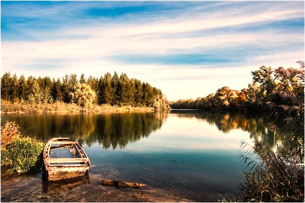 夢見領導送自己魚怎么樣_周公解夢官網