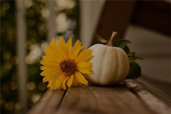 夢到嫩南瓜是好的徵兆嗎_周公解夢