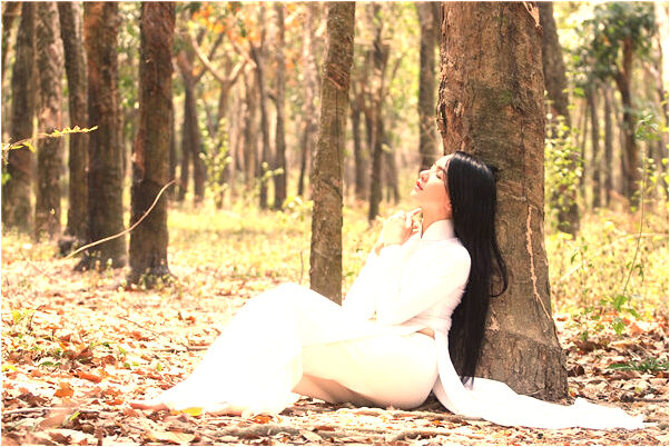 夢到鱔魚跑了有何寓意_周公解夢官網