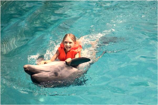 夢到了剪刀找不著了有找著了怎么說_周公解夢官網