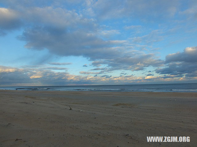 夢見到處都是死蛇_周公解夢夢到到處都是死蛇是什麼意思_做夢夢見到處都是死蛇好不好_周公解夢官網