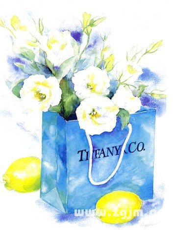 12星座的婚外情宣言_十二星座