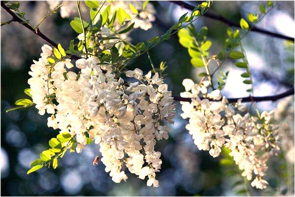 夢到褲子髒啦是怎么回事_周公解夢官網