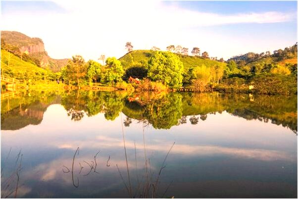 夢見別人給我要福意味著什麼_周公解夢官網