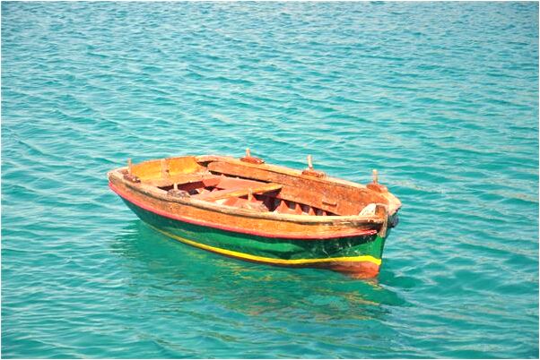 夢到了把鮮花根挖出來了是啥意思_周公解夢官網