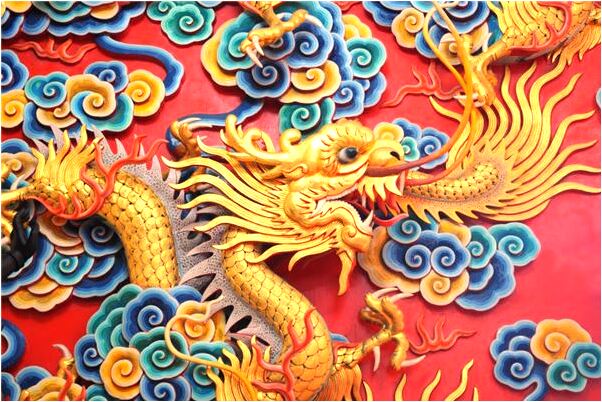 夢見撞到金色狗狗不死怎么回事_周公解夢官網