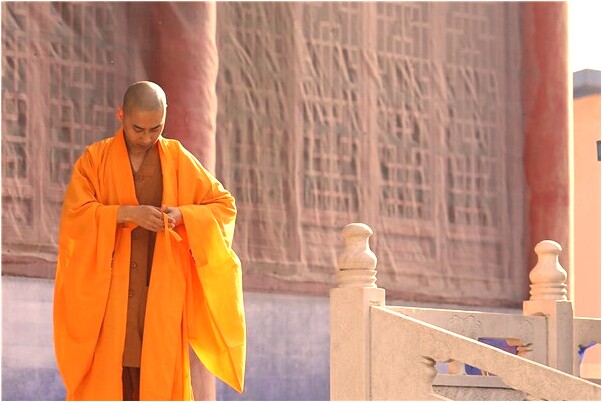 夢見蛇咬鴨很多人說魚但沒看見意味著什麼_周公解夢官網