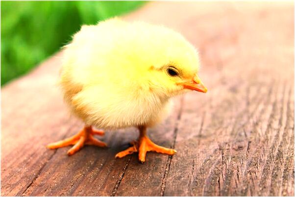 夢見活人雕像什麼寓意_周公解夢官網