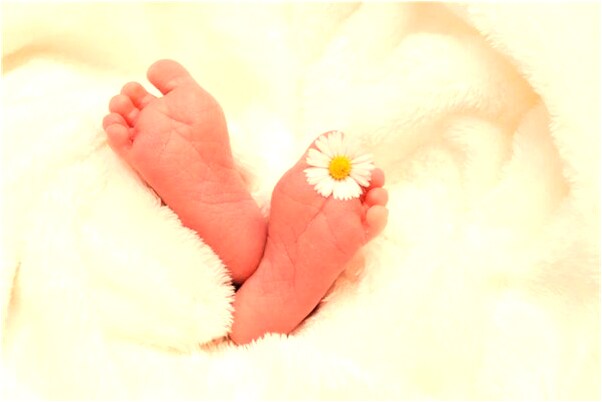 夢到了從房上下來是什麼預兆_周公解夢官網