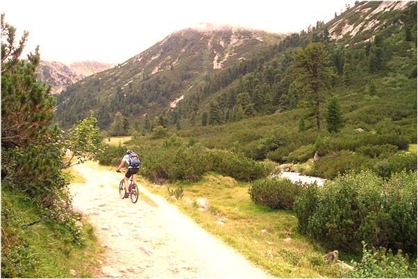 夢到情人和妻子離婚是什麼預兆_周公解夢官網