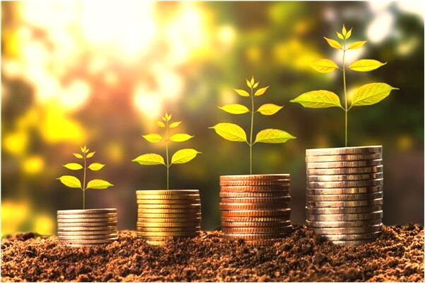 夢見弟弟抓鳥換錢給自己意味著什麼_周公解夢官網