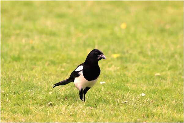 夢見自己去找女朋友是什麼徵兆_周公解夢官網