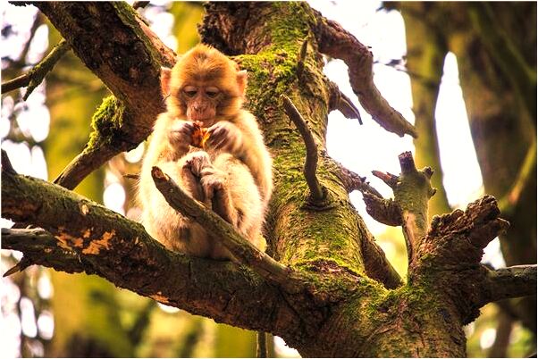 夢到鞋底漏個洞預兆了什麼嗎_周公解夢官網