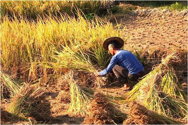 夢見看不清楚東西會是什麼預兆_周公解夢官網