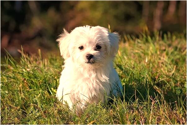 夢到了我操了女同事會是什麼預兆_周公解夢官網
