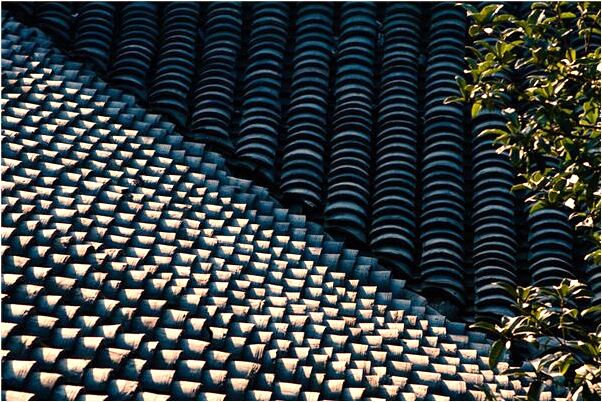 夢到了自己在別人地里種菜是什麼意思_周公解夢官網