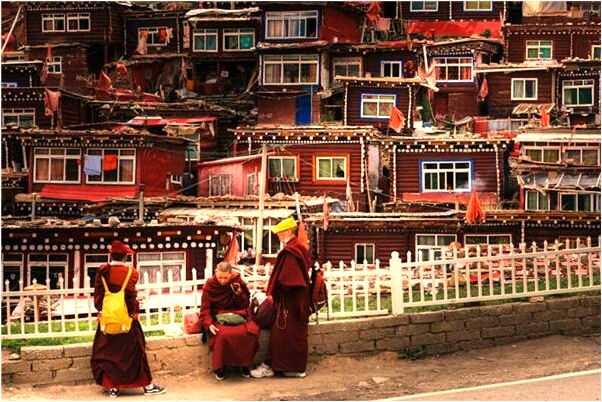 夢到白馬受傷是什麼預兆_周公解夢官網