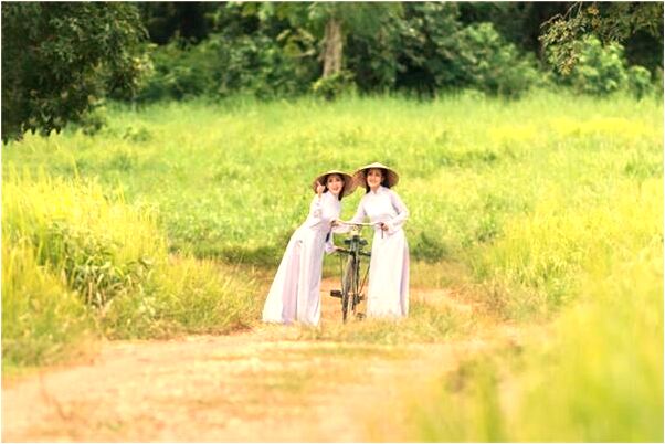 夢到有人送我木臥佛有何寓意_周公解夢官網