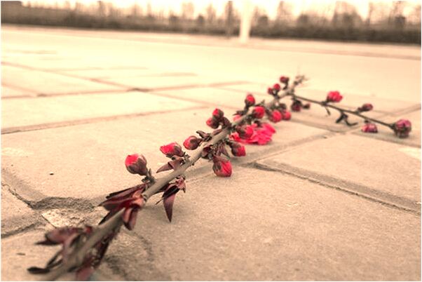 夢到給家具上涮紅色油漆意味著什麼_周公解夢官網