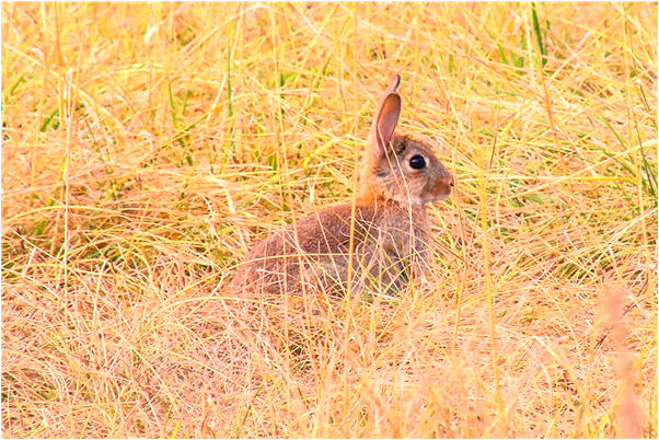 夢到了陌生女人光著身上預示什麼_周公解夢官網