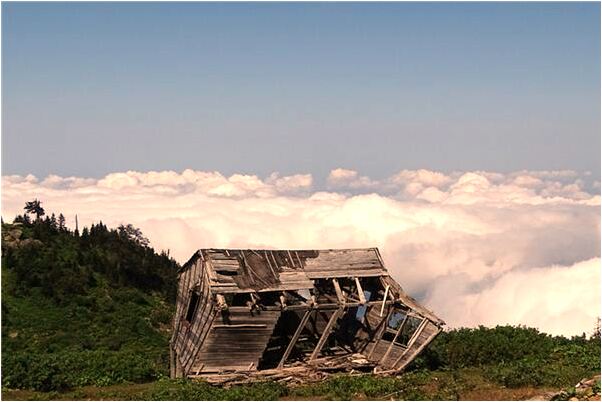 夢見澆菜地有何寓意_周公解夢官網
