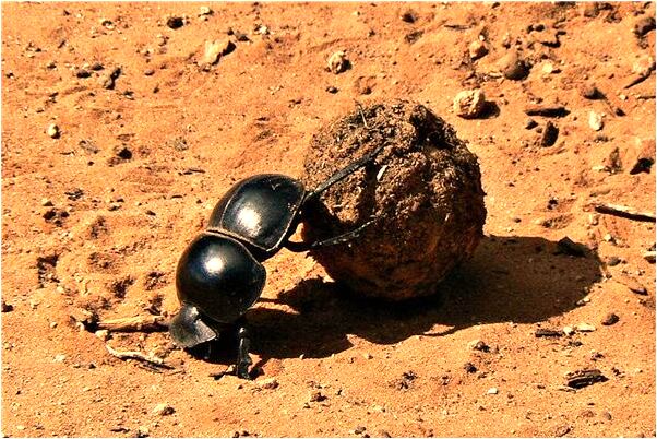 夢到愛人跟別人跑了有什麼說法_周公解夢官網