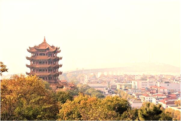 夢見朋友家黑色藏獒追我什麼寓意_周公解夢官網