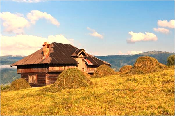 夢見黑蛇象徵什麼是好的徵兆嗎_周公解夢官網