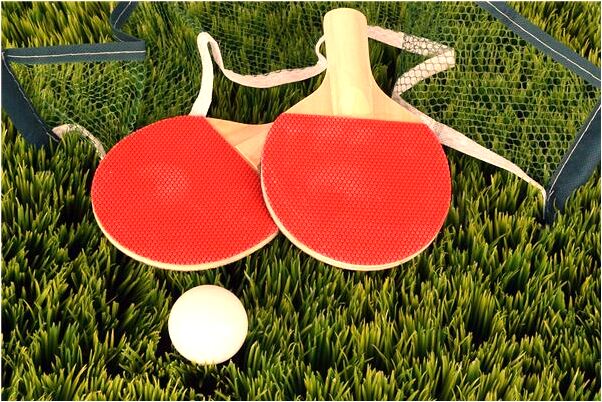 夢到被兩條蛇咬還見血預示什麼_周公解夢官網