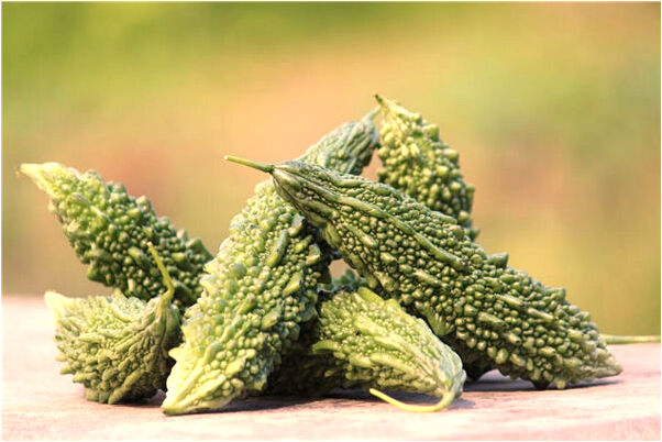 夢到大黑蛇關在房孑里代表什麼_周公解夢官網