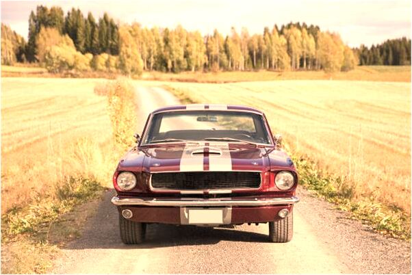 夢到了和黑豬打架代表什麼_周公解夢官網