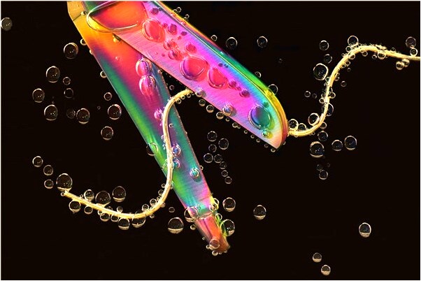 夢到橋上的護欄壞了有何寓意_周公解夢官網