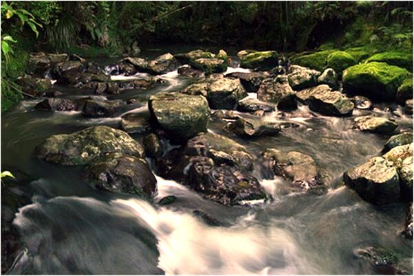 夢到了和女人打架有狗是什麼徵兆_周公解夢官網