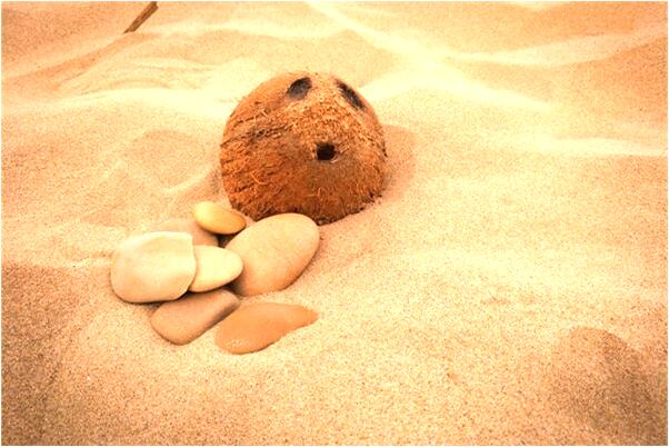 夢到了高速修路有什麼意思嗎_周公解夢官網