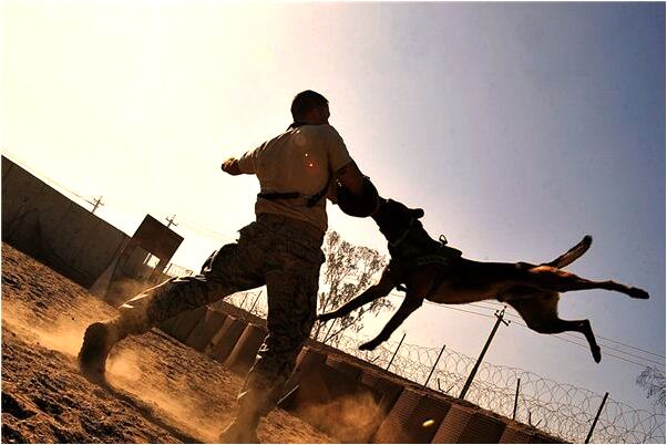 夢到了捉姦在床反目成仇會是什麼預兆_周公解夢官網