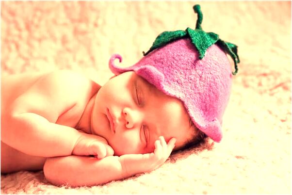 夢到貓和雞是好是壞_周公解夢官網