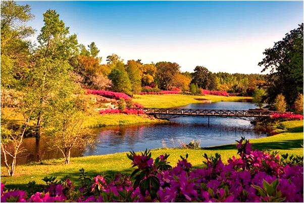 夢到拉棺材和牛預示什麼_周公解夢官網