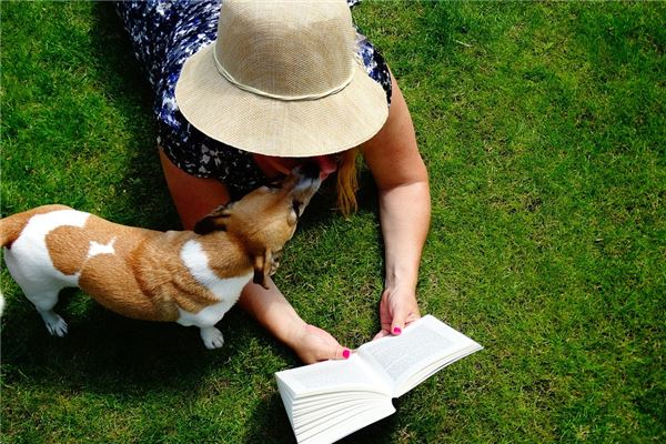 夢到了抱狗狗預示了什麼_周公解夢