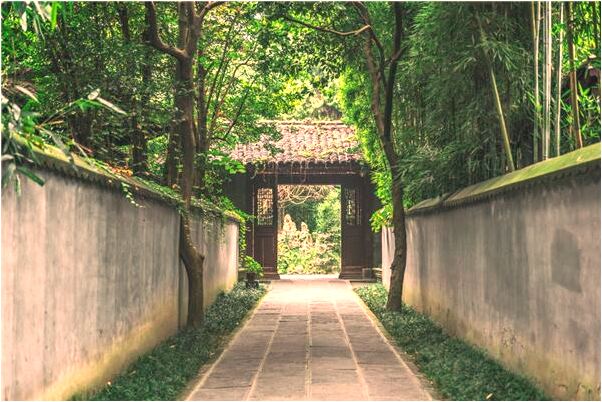 夢到兩條白蛇小蛇吃大蛇代表什麼_周公解夢官網