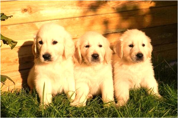 夢見打了女生是什麼徵兆_周公解夢官網